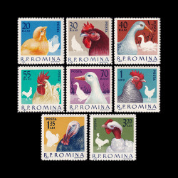 Păsări de rasă 1963 LP 560