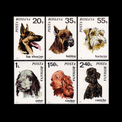 Câini, 1971, LP 754