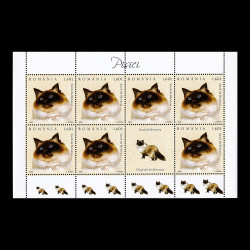 Pisici, minicoli de 7 timbre și 1 vinietă, 2006, LP 1707A