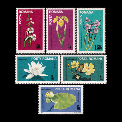 Flori din Delta Dunării, 1984, LP 1099