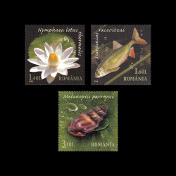 Unicate din Rezervația Naturală ”Pârâul Pețea” Băile 1 Mai-Oradea, 2008, LP 1822