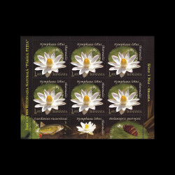 Unicate din Rezervația Naturală ”Pârâul Pețea” Băile 1 Mai-Oradea, minicoli 6 timbre și 3 tabsuri, 2008, LP 1822A