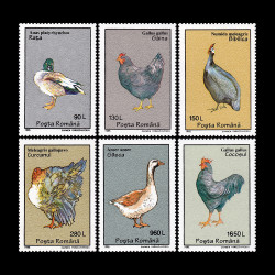 Păsări domestice 1995 LP 1386