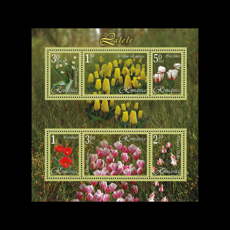 Lalele bloc de 6 timbre 2006 LP 1716B
