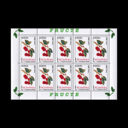 Fructe, minicoli de 10 timbre, 2002, LP 1596A