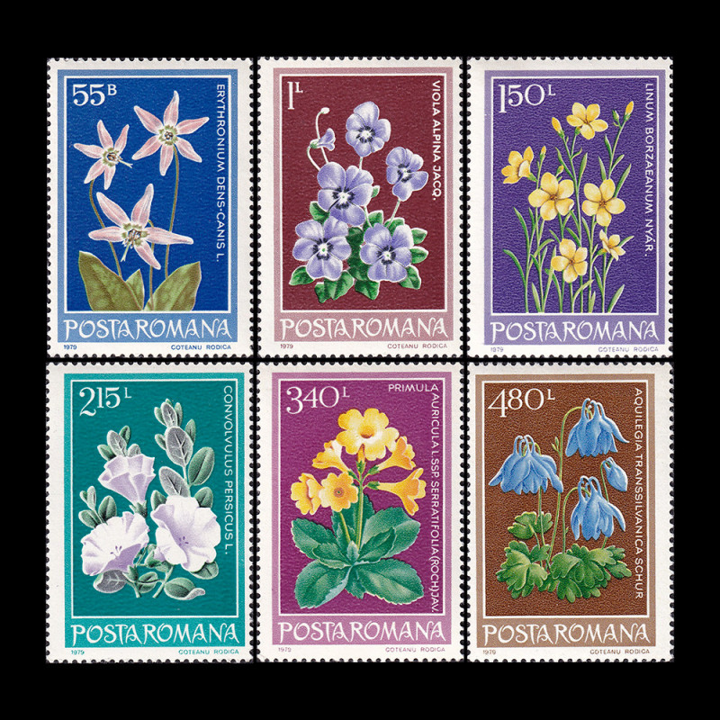 Flori protejate din România, 1979, LP 977