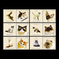 Pisici, serie cu vinietă, 2006 LP 1707c