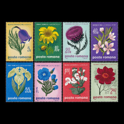 Flori de stepă, 1970, LP 719
