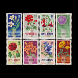 Flori de grădină 1964 LP 581