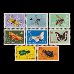 Insecte din fauna țării noastre 1964 LP 580