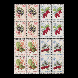 Fructe de pădure, bloc de 4 timbre, 1964, LP 598A
