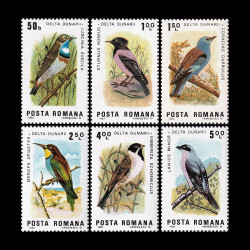 Păsări din Delta Dunării 1983 LP 1080