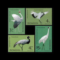 Păsări migratoare, cocori, 2018 LP 2177