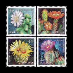 Flori de cactus 2017 LP 2160