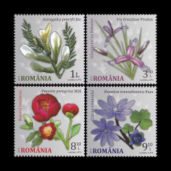 Flori din Grădini Botanice 2015 LP 2071