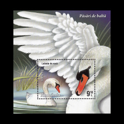 Păsări de baltă, coliță dantelată 2015 LP 2076a
