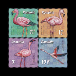 Flamingo 2021 LP 2336