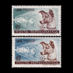 Cațelușa Laika, primul călător în cosmos 1957 LP 447