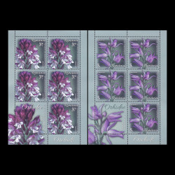 Orhidee, minicoală de 5 timbre și 1 vinietă 2020 LP 2294b