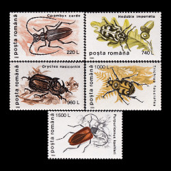 Insecte I (uzuale) 1996 LP 1404