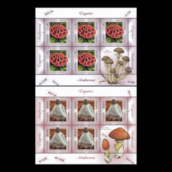 Ciuperci 2021, minicoli de 5 timbre și 1 vinietă LP 2323c