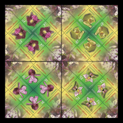 Orhidee sălbatice, minicoli de 4 timbre 2017 LP 2132b