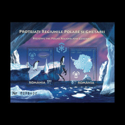 Protejați Regiunile Polare și Ghețarii, bloc numerotat cu negru 2009 LP 1829a