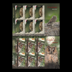 Păsări răpitoare de noapte, minicoli de 6 timbre cu manșetă ilustrată 2013 LP 1984a