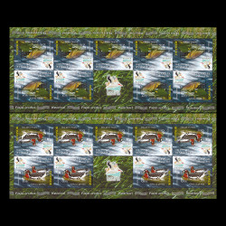 Păsări acvatice minicoli de 9 timbre, 1 vinietă și tete-beche 2012 LP 1945e