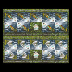 Păsări acvatice minicoli de 9 timbre, 1 vinietă și tete-beche 2012 LP 1945e