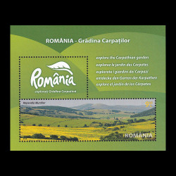 România - Grădina Carpaților coliță dantelată 2010 LP 1874
