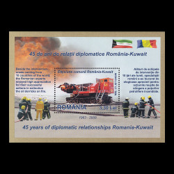 Emisiune comună România - Kuwait, 45 de ani coliță dantelată 2008 LP 1807