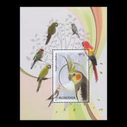 Papagali, coliță dantelată 2011 LP 1891