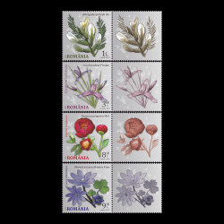 Flori din Grădini Botanice, serie cu vinietă 2015 LP 2071a