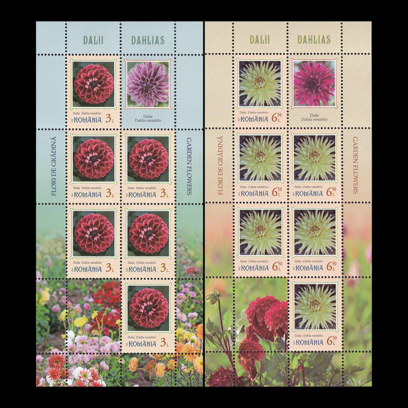 Flori de grădină - Dalii, minicoli de 6 timbre și 2 viniete 2022 LP 2390b