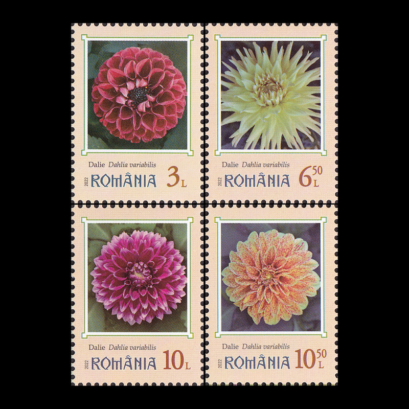 Flori de grădină - Dalii, 2022 LP 2390