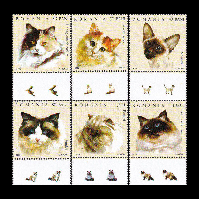 Pisici, serie cu tabs 2006 LP 1707b