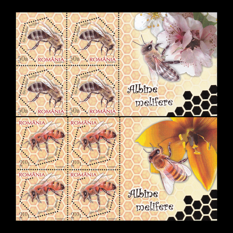 Albine melifere, minicoli de 4 timbre cu manșetă ilustrată și folio aur 2010 LP 1854a