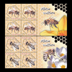 Albine melifere, minicoli de 4 timbre cu manșetă ilustrată și folio aur 2010 LP 1854a