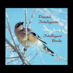 Păsări inteligente, album filatelic 2017 LP 2134a