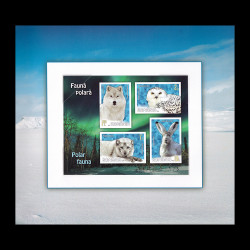 Faună polară, Album filatelic 2020 LP 2271a