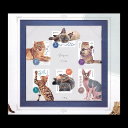 Pisici, album filatelic 2020 LP 2272a