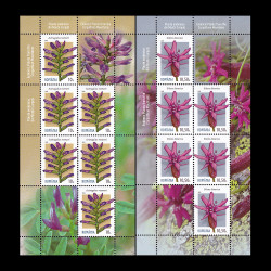 Plante endemice din Munții Carpați, minicoli de 6 timbre și 2 viniete 2022 LP 2382b
