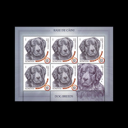 Rase de câini, minicoală de 5 timbre și 1 vinietă, 2019, LP 2230C
