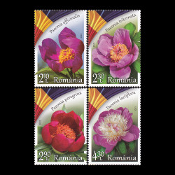 Bujorul, floarea națională a României 2023 LP 2418