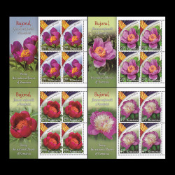 Bujorul, floarea națională a României, minicoli de 4 timbre cu manșetă 2023 LP 2418b
