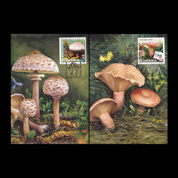 Ciuperci, Cărți Poștale Maxime 2008 LP 1792CM