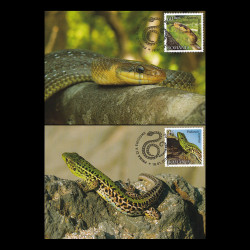 Reptile din România, cărți poștale maxime 2011 LP 1887CM