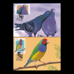 Ziua internațională a păsărilor, Cărți Poștale Maxime 2023 LP 2412CM