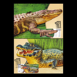 Crocodili 2020, cărți poștale maxime LP 2307CM